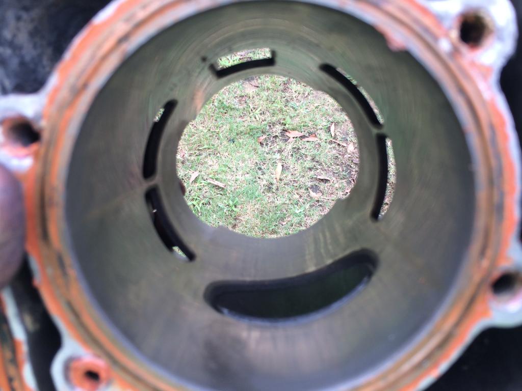 534.jpg